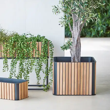 Blumenkasten Flower Box